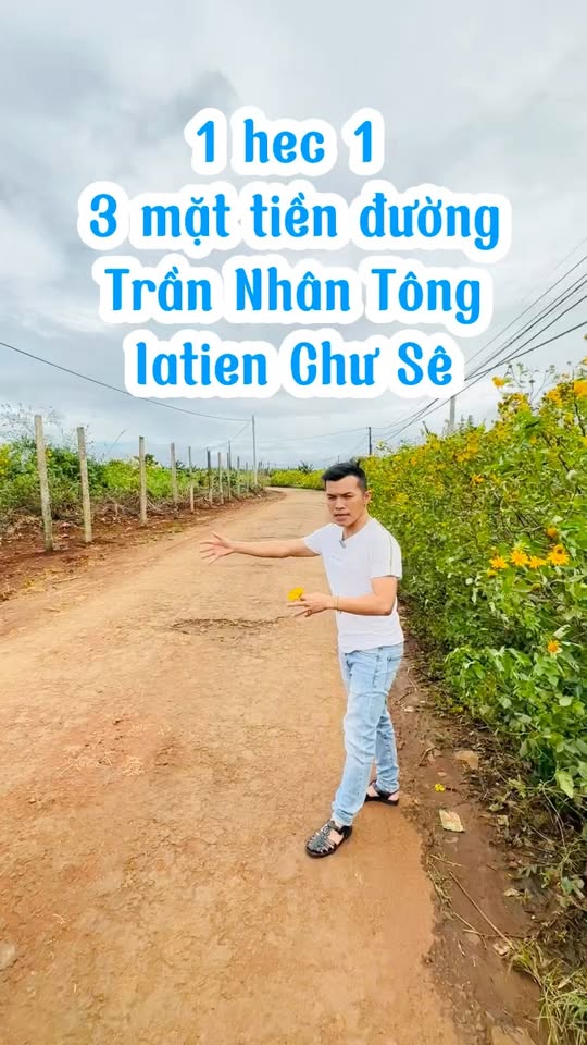 Đất nông nghiệp 1ha mặt tiền Trần Nhân Tông, Chư Sê, Gia Lai - Giá thỏa thuận hấp dẫn!