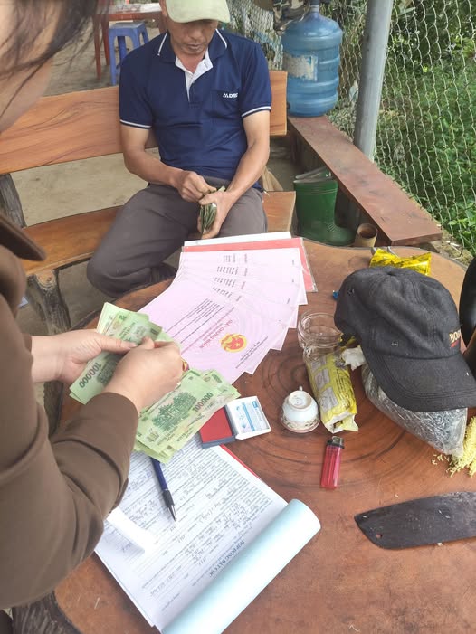 Đất Farm 3ha tại Sóc Đăng, Đoan Hùng - Giá chỉ 3,7 tỷ, Mô hình trang trại lý tưởng!