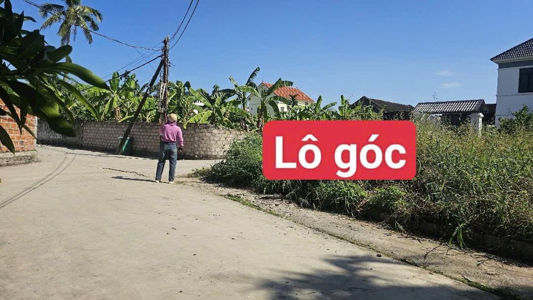 Đất nền Thủy Nguyên Hải Phòng 82m² giá 2 tỷ - Đường ô tô vào tận nơi!