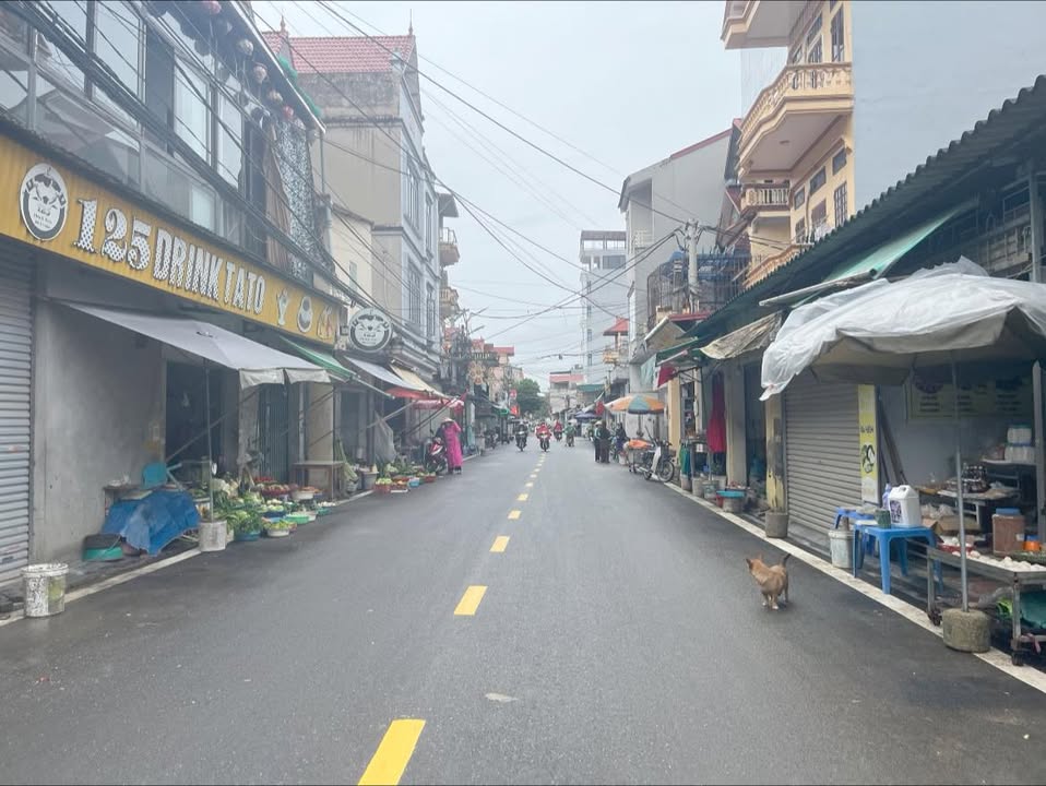 Đất mặt tiền 4m tại Đại Mạch, Đông Anh 60m² giá 6 tỷ - Vị trí vàng thuận lợi!