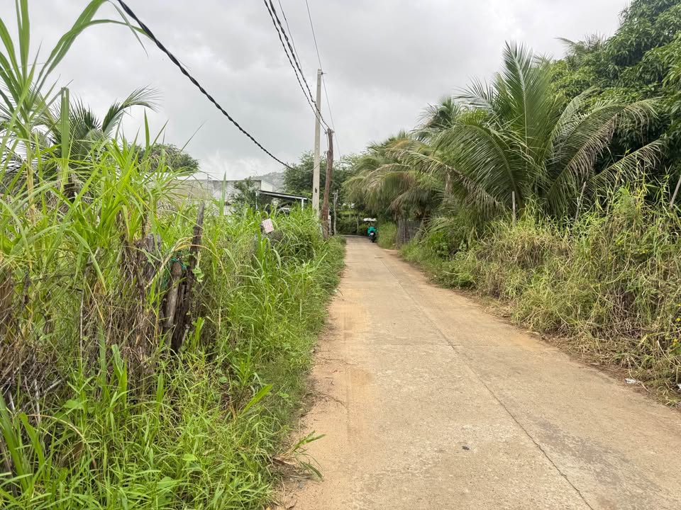 Đất nền 4,6 xào phường Văn Hải, Ninh Thuận giá chỉ 2,25 tỷ - Cơ hội đầu tư hấp dẫn!