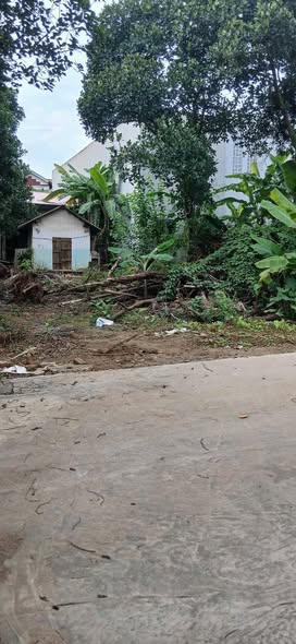 Đất nền Liên Bảo Vĩnh Yên 120m² giá 1.7 tỷ - Đường ô tô vào tận nơi!