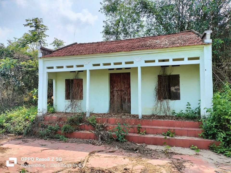 Đất vườn 6000m² tại Đồng Tiến, Yên Thế, Bắc Giang - Giá chỉ 2 tỷ!