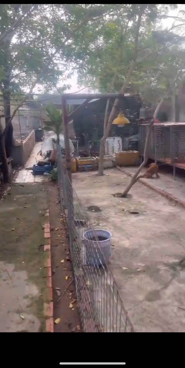 Nhà cho thuê Trảng Dài, Biên Hòa 500m² giá chỉ 3 triệu/tháng - Không gian rộng rãi thoáng mát!