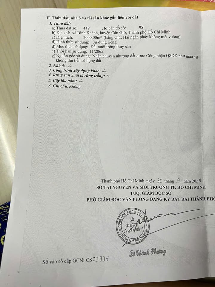 Đất nuôi trồng thủy sản 2000m² Bình Khánh Cần Giờ - Cơ hội đầu tư hấp dẫn!