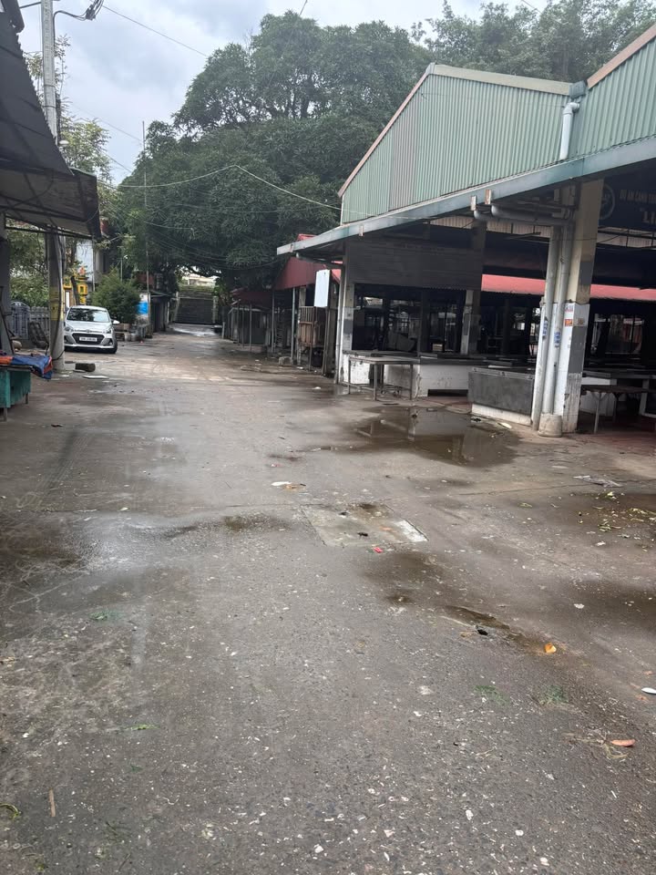 Đất nền Cao Dương, Thanh Oai 69m² giá 1.6 tỷ - Cơ hội đầu tư tuyệt vời!