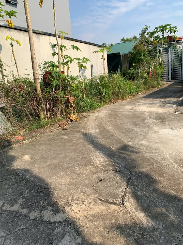 Đất Thiên Đông, Mỹ Hưng, Thanh Oai 51m² giá 3.95 tỷ - Sổ đỏ chính chủ!