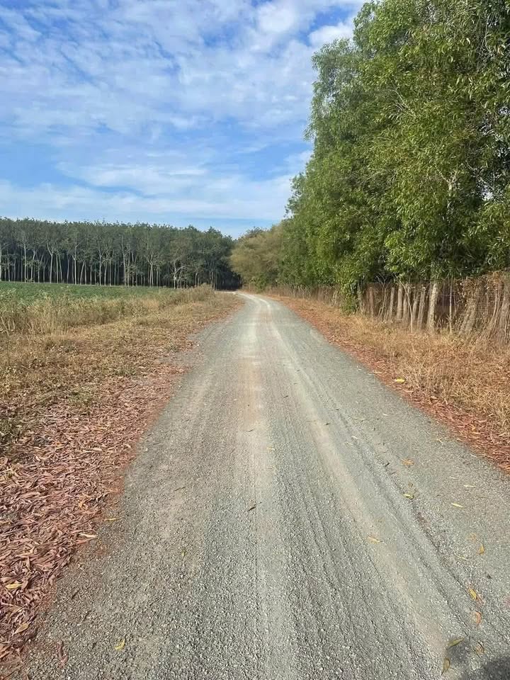 Đất nền An Phú Tân Uyên 3600m² giá 200 triệu - Đầu tư sinh lời ngay!