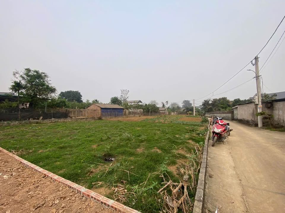 Đất nền Phú Cát Quốc Oai 272m² giá chỉ 1x triệu/m² - Cơ hội đầu tư tiềm năng!