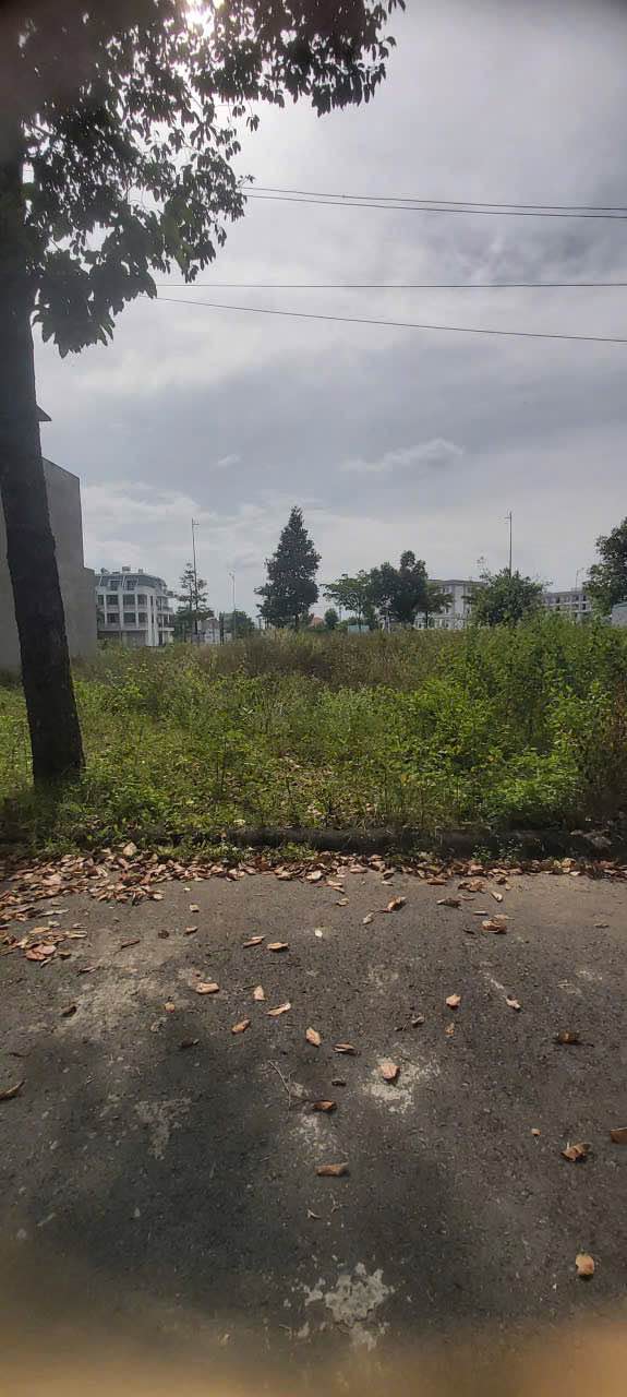 Đất nền KDC Đại Dương, Tân An 100m² giá 3 tỷ - Đầu tư sinh lời lý tưởng!