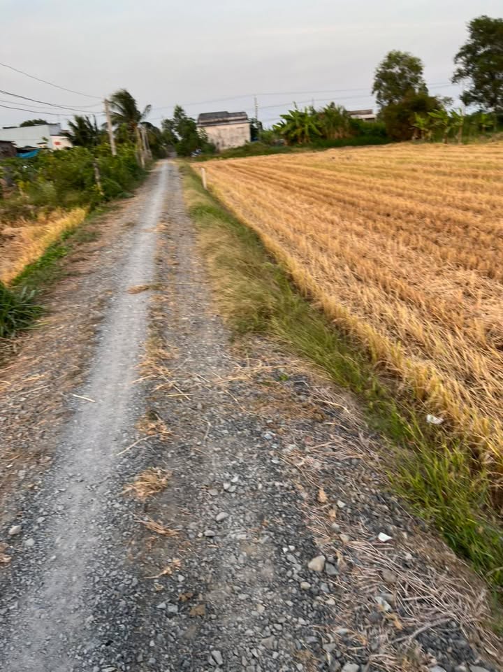 Đất nền ấp 1, Gia Thuận 110m² giá 239 triệu - Sổ đỏ chính chủ, xe hơi vào tận đất!