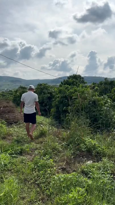 Đất nền Liên Hà - Lâm Đồng 9000m² giá 840 triệu - Sổ hồng chính chủ, ôm 2 mặt đường!