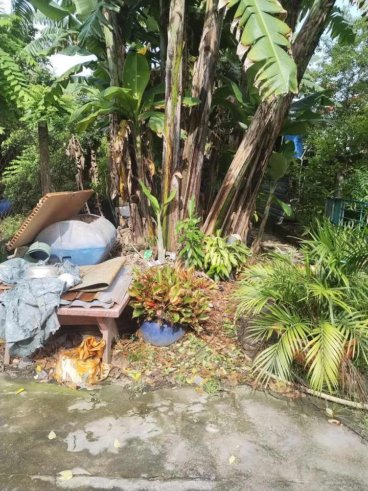 Đất nền Tân Hiệp Hóc Môn 100m² giá 2.4 tỷ - Sổ hồng chính chủ, xe hơi vào tận nơi!