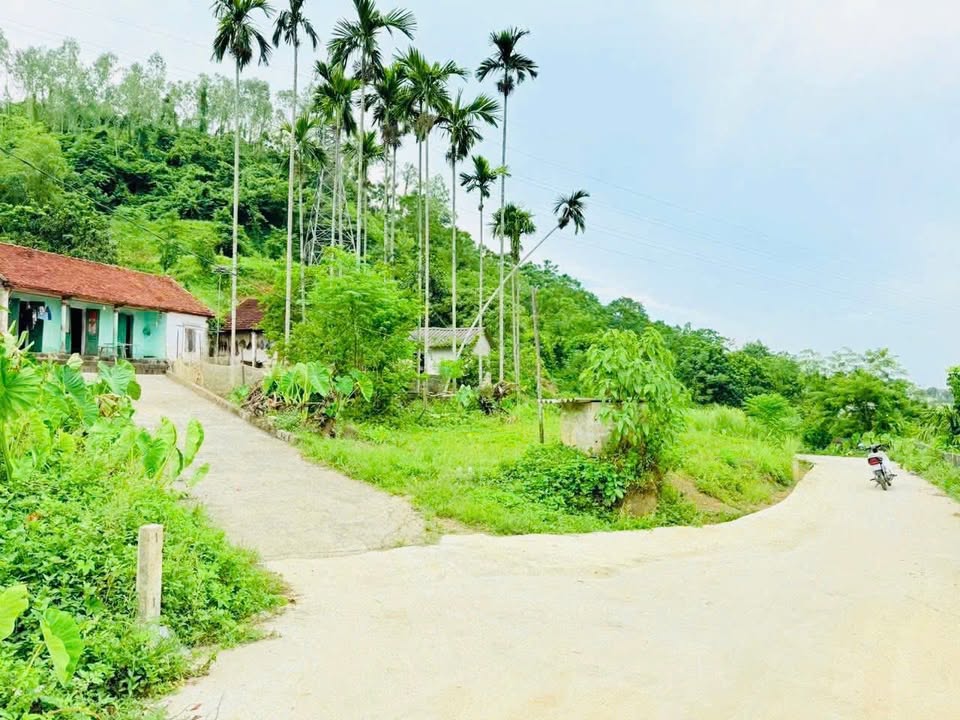 Đất thổ cư 100m² tại xã Liên Sơn, Lương Sơn, Hòa Bình - Giá chỉ 1.1 tỷ!