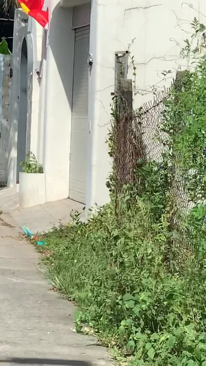 Đất nền Hòa Lợi, Bến Cát 330m² giá chỉ 3 tỷ - Cơ hội đầu tư hấp dẫn!