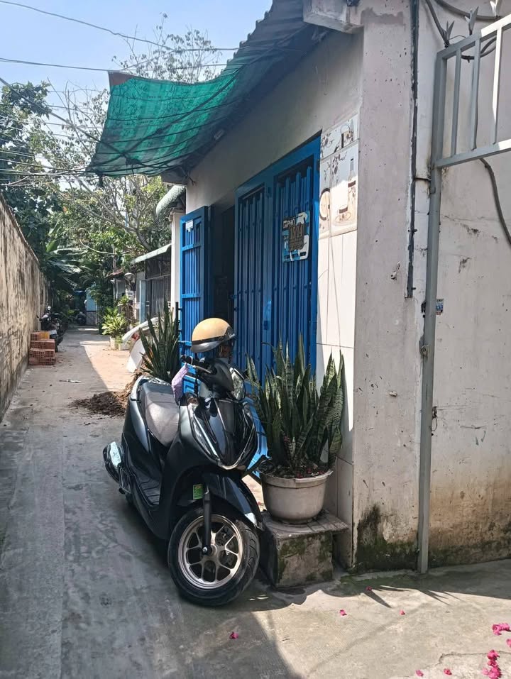 Nhà nguyên căn thuê đường 46, Hiệp Bình Chánh, Thủ Đức 20m² - Không gian thoáng đãng