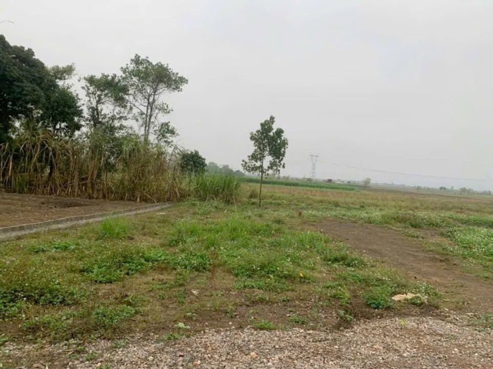 Đất 1000m² tại Ngọc Lương, Yên Thủy - View Suối Chill, Giá chỉ 500 triệu!