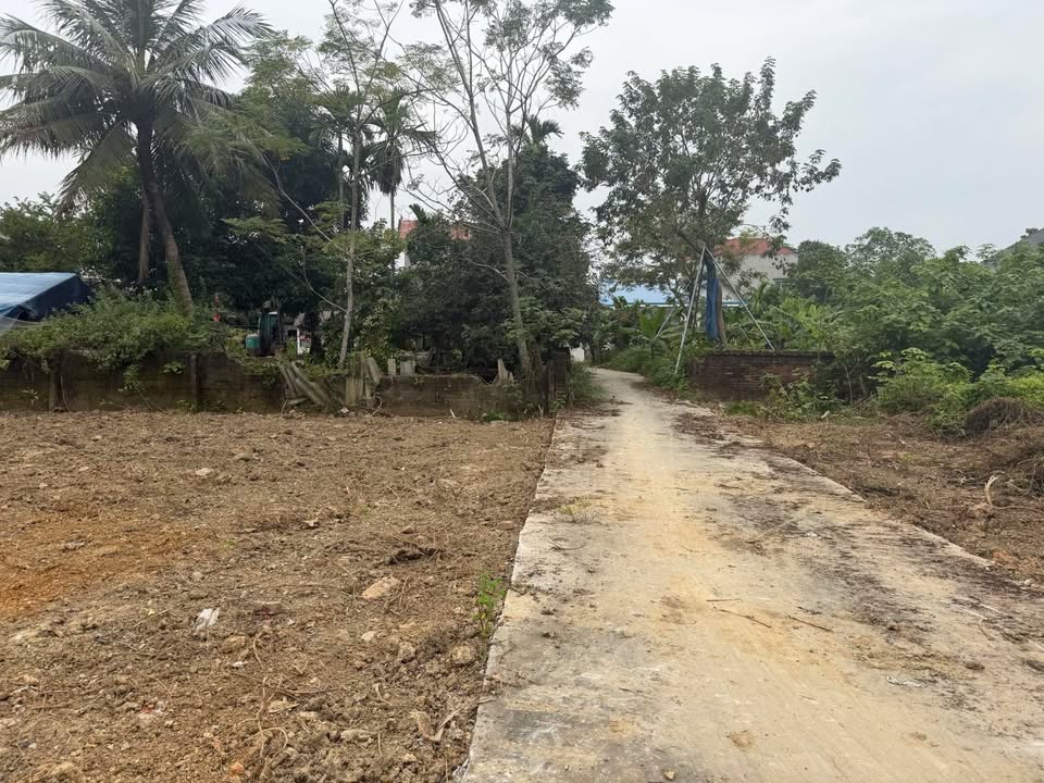 Đất nền Thủy Xuân Tiên Chương Mỹ 296m² giá 3.888 tỷ - Sổ đỏ chính chủ sẵn sàng giao dịch!