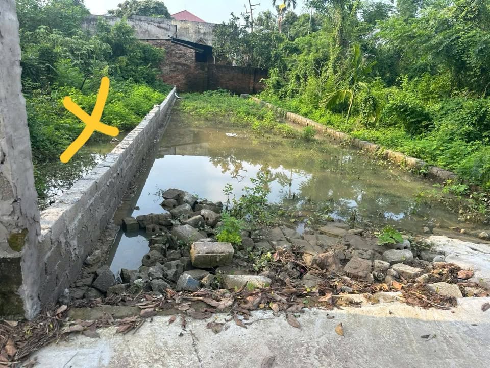 Đất Thổ Cư 112m² Thủy Xuân Tiên, Chương Mỹ - Giá chỉ 1 tỷ VND, Gần Trường và Chợ!