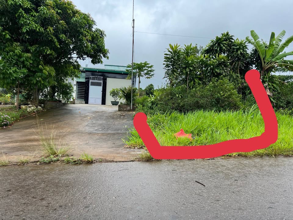 Đất thổ cư 350m² mặt tiền Phan Đình Phùng Bảo Lộc - Gần Vintage Garden chỉ 100m