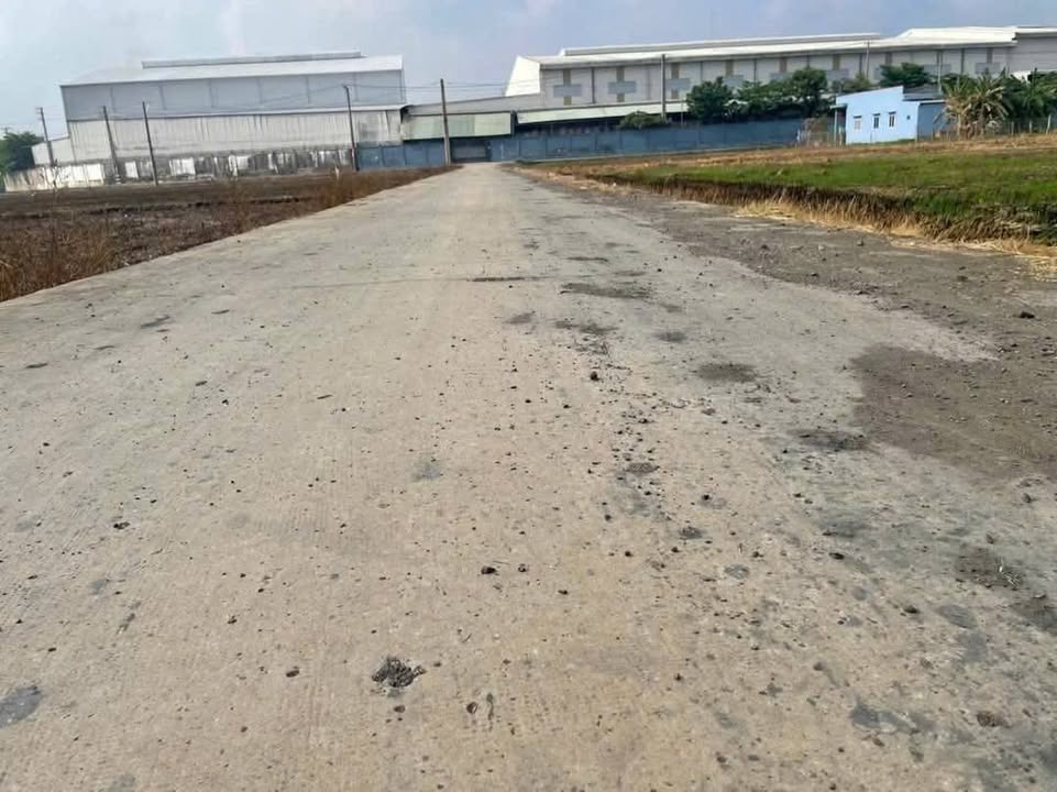 Đất nền 150m² xã Lạc Tấn, Tân Trụ giá 680 triệu - Cơ hội đầu tư tuyệt vời!