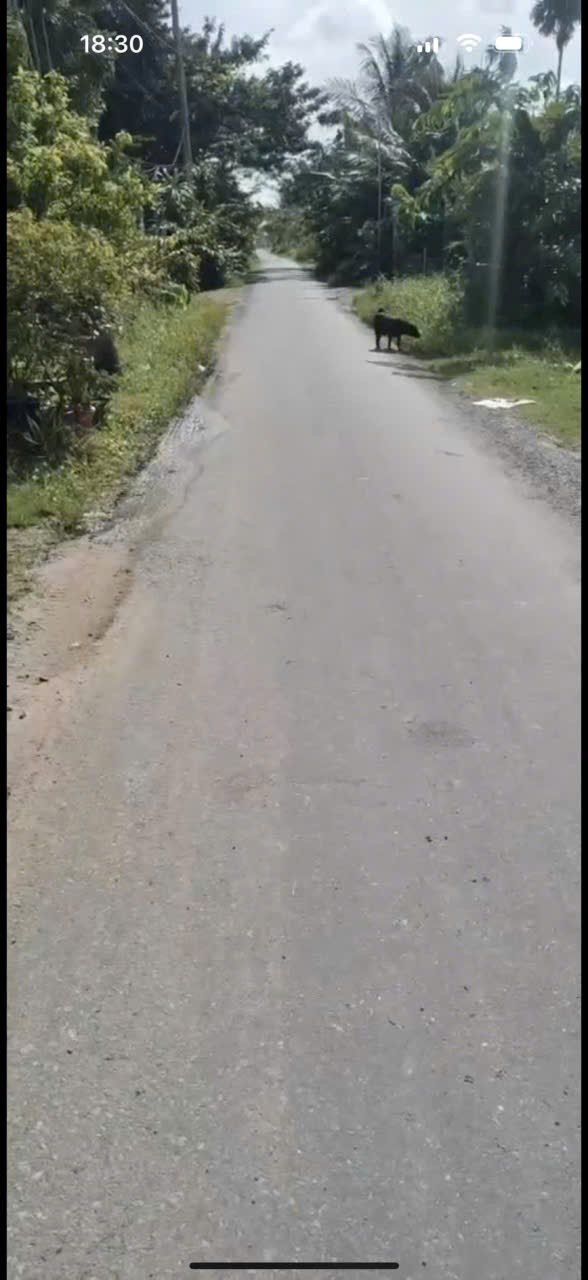 Đất thổ cư mặt tiền Xóm Gò, xã Đức Lập Hạ 130m² giá chỉ 1.2 tỷ - Tiềm năng phát triển cao!