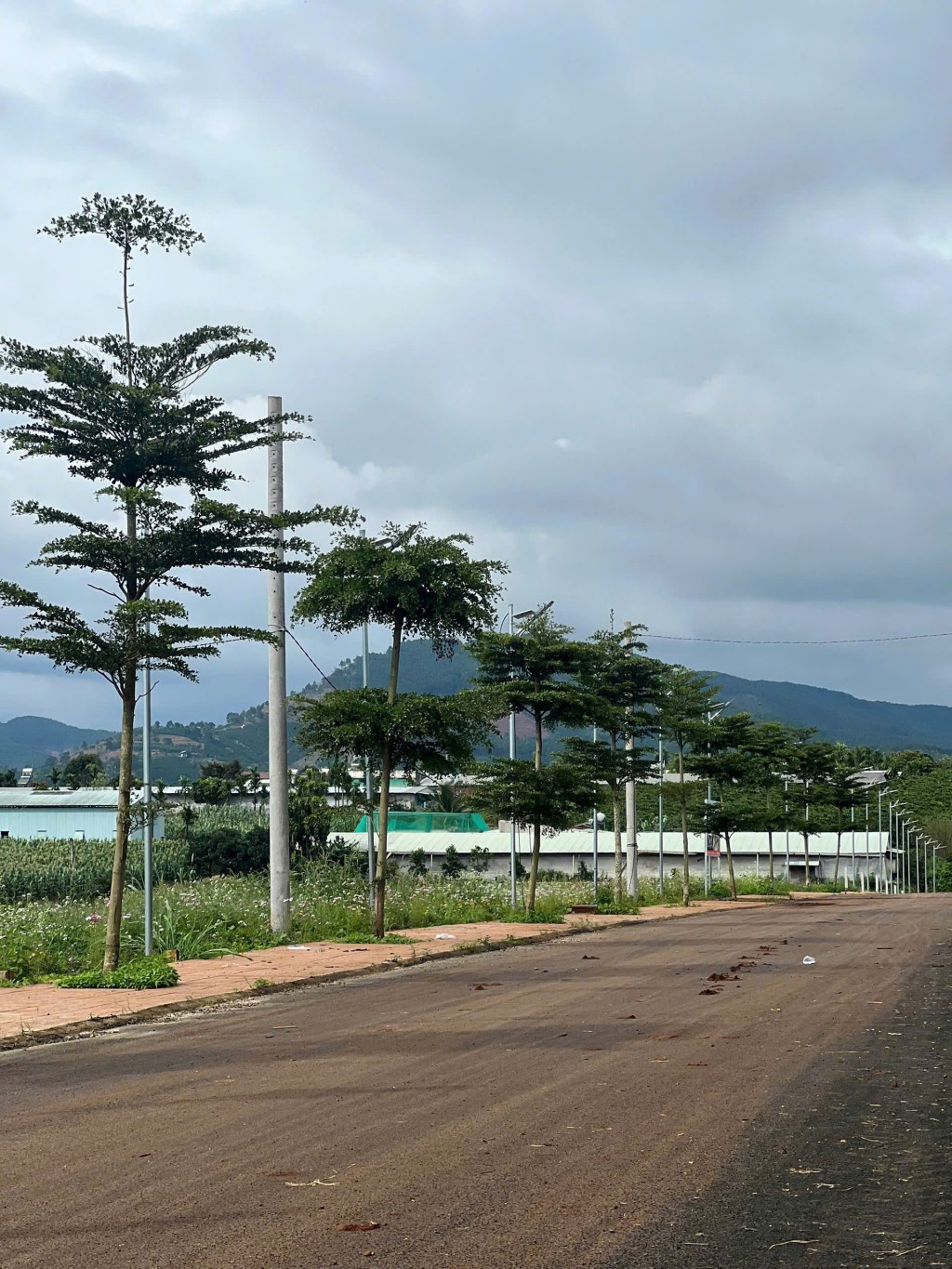 Đất nền tại Đức Trọng 245m² giá 850 triệu - Sổ đỏ chính chủ