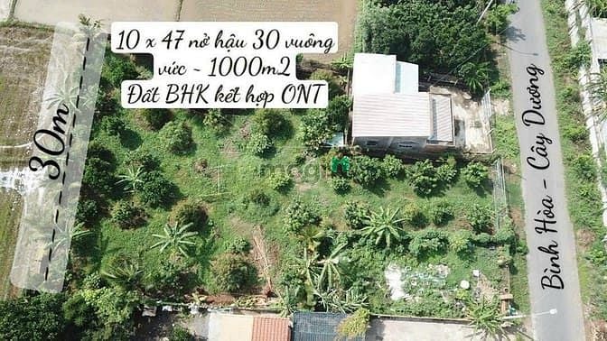 Đất nền 1000m² Mặt Tiền Bình Hoà - Cây Dương giá 5,2 tỷ - View sông Đồng Nai tuyệt đẹp!