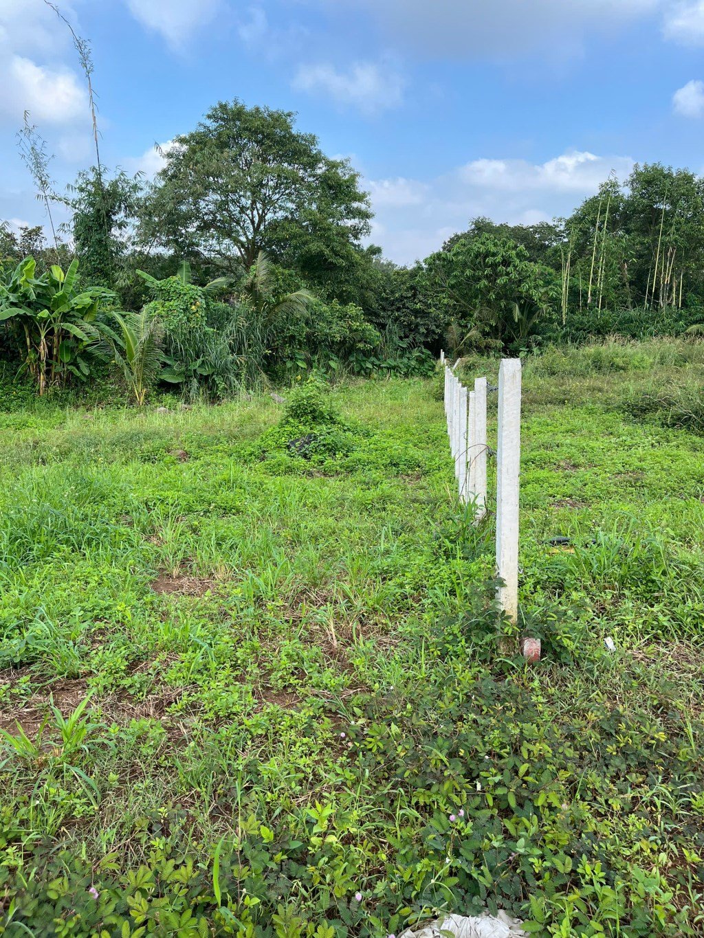 Đất vườn Sông Nhạn 266m² giá 750 triệu - Tiềm năng phát triển gần Sân bay Long Thành!