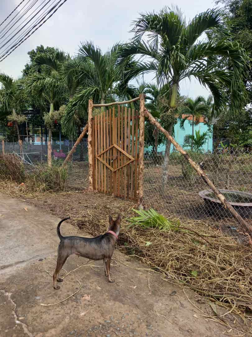 Đất nền xã Mỹ Lộc, Tây Ninh 1.700m² giá 8.5 tỷ - Địa thế đẹp, phong thủy tốt!