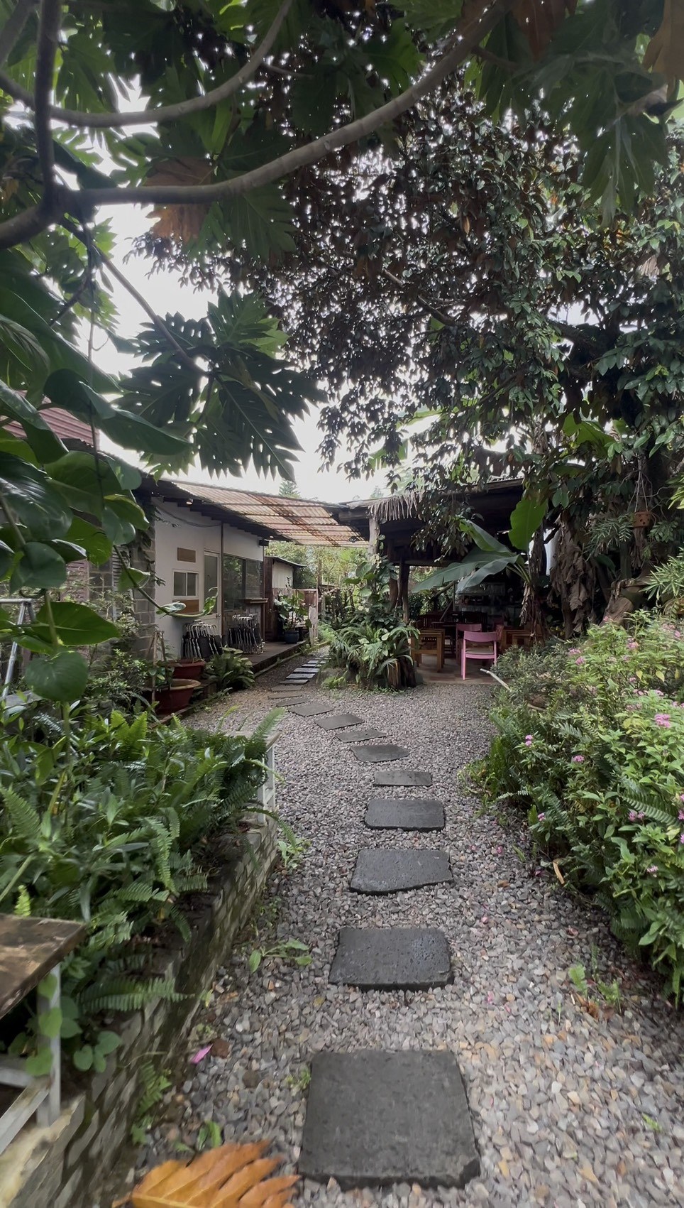 Đất 2 mặt tiền Phan Đình Phùng, Phường 2, Bảo Lộc | 925m² giá 14 tỷ - Tiềm năng đầu tư sinh lời cao!