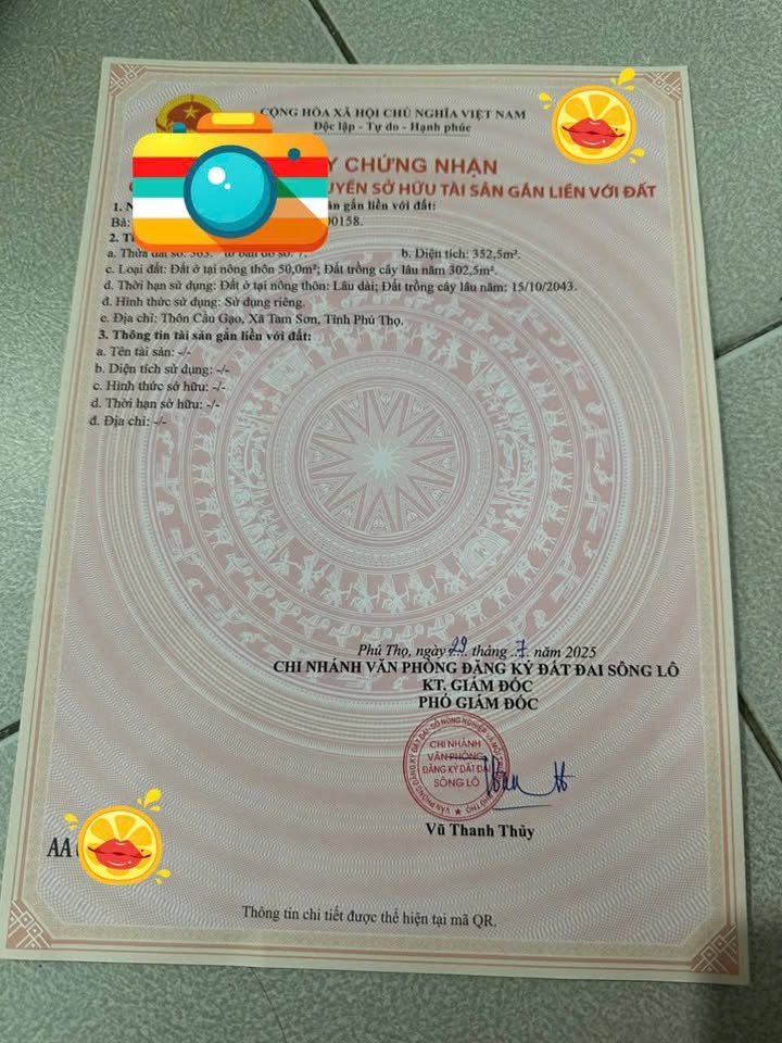 Đất nền 352m² tại Thôn Cầu Gạo, Sông Lô - Vị trí đắc địa, giá tốt!