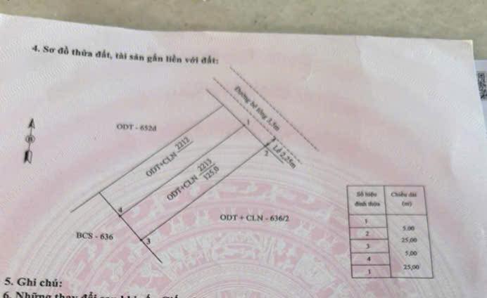 Đất nền Điện Nam Đông 125m² giá 1.6 tỷ - Đầu tư tiềm năng sinh lời!