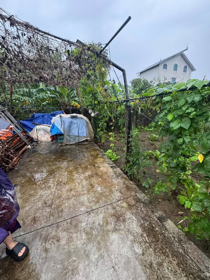 Đất Thổ Cư Tự Nhiên Thường Tín 113.7m² giá 3.6 tỷ - Cơ hội đầu tư không thể bỏ lỡ!