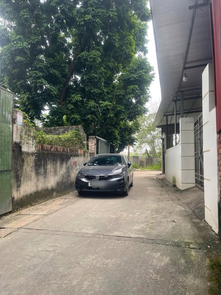 Đất nền Như Quỳnh 100m² giá 4 tỷ - Vị trí đắc địa, tiện ích đầy đủ!