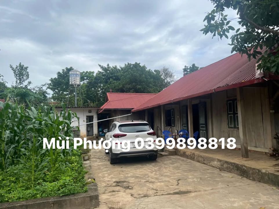 Đất nền Mộc Châu 100m² giá 1 tỷ - Vị trí trung tâm, đầu tư sinh lời!