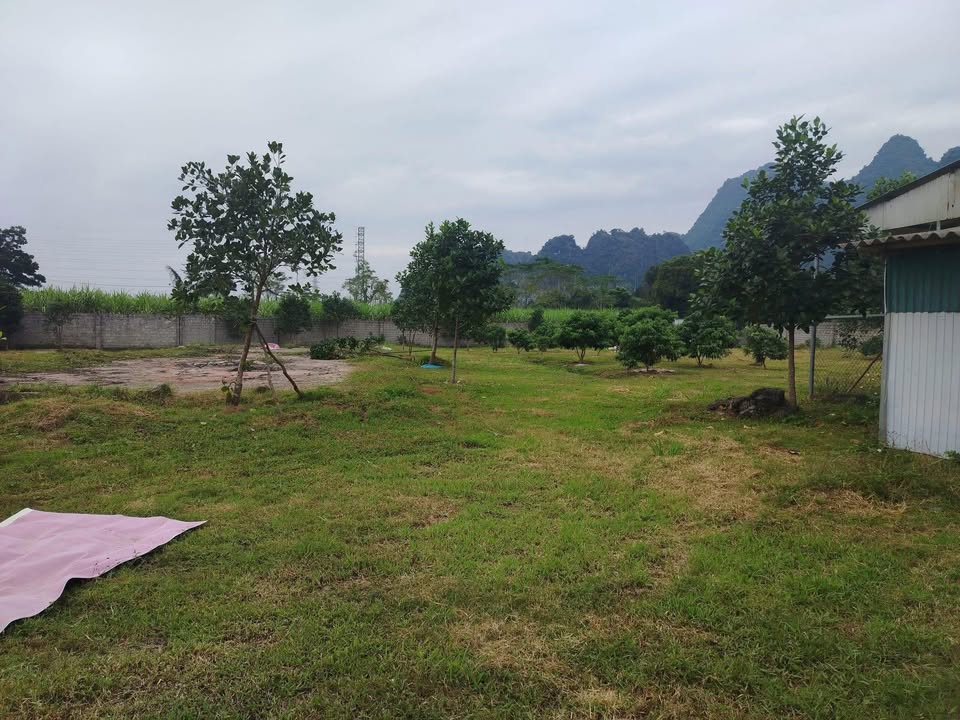 Đất nền Yên Lạc 5365m² giá thỏa thuận - Phù hợp xây xưởng hoặc công ty!