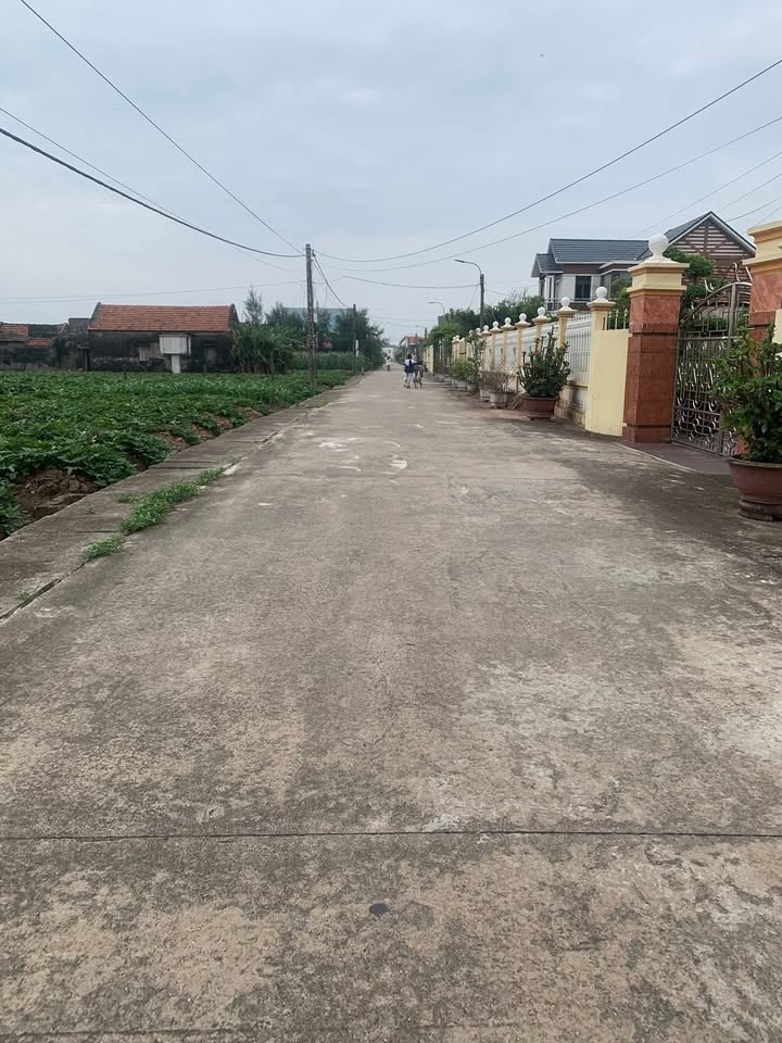 Đất nền khu 10 Thịnh Long, Hải Thịnh 130m² - Đất đẹp, chính chủ bán gấp!