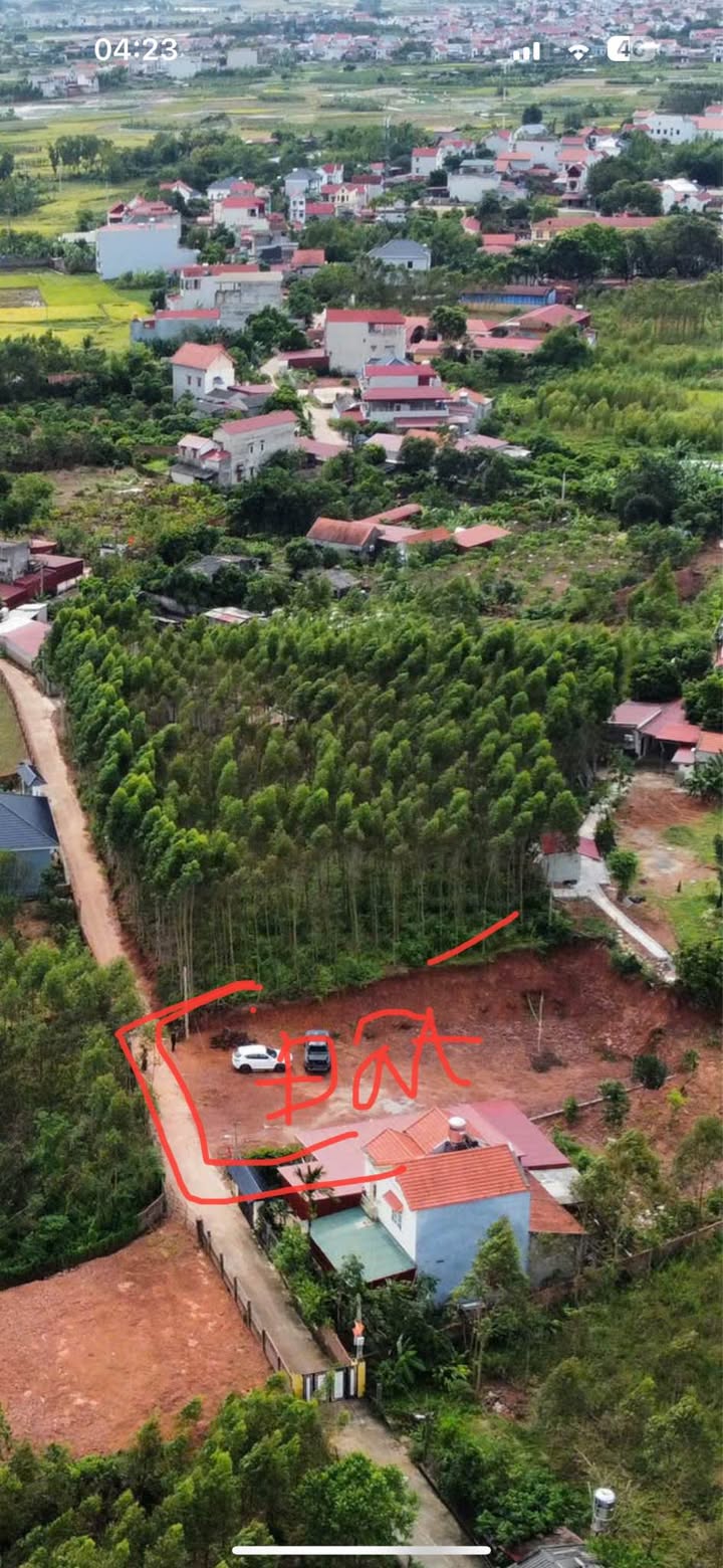 Đất nền Bảo Đài Lục Nam 125m² chỉ 300 triệu - Cơ hội đầu tư sinh lời nhanh!