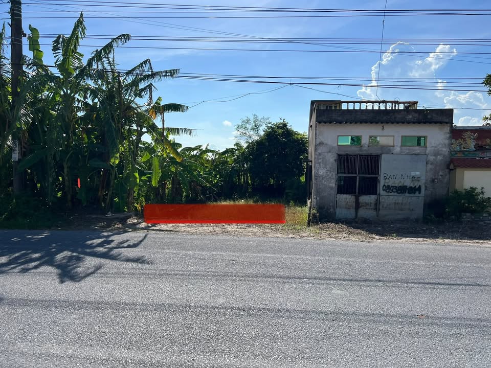 Đất chính chủ 150m² tại Trục đường tỉnh Thái Đô, Thái Thụy - Giá chỉ 1.8 tỷ