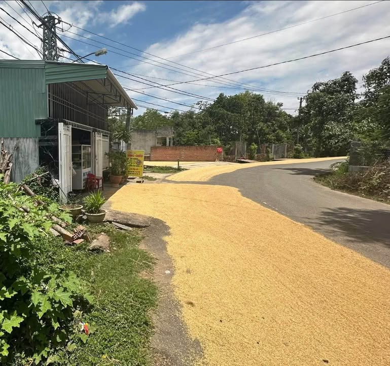 Đất thổ cư Đặng Tiến Đông, P. Lê Lợi, Kon Tum 234.9m² giá 1 tỷ - Khu dân cư đông đúc!