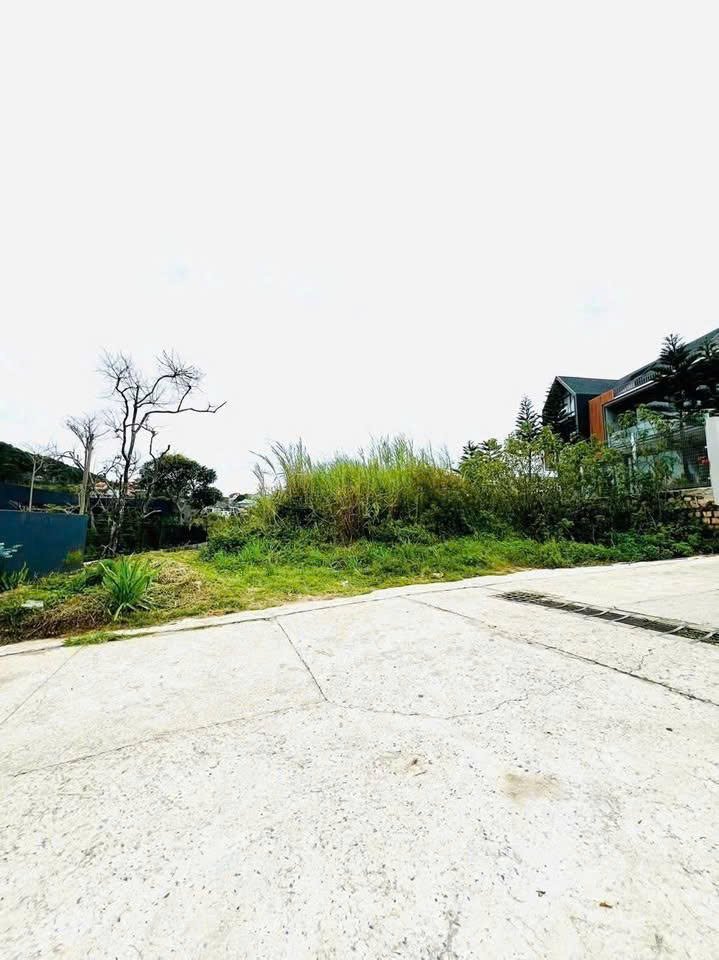 Đất nền biệt thự Hoàng Hoa Thám Đà Lạt 500m² giá 18.5 tỷ - View đồi thông cực đẹp!