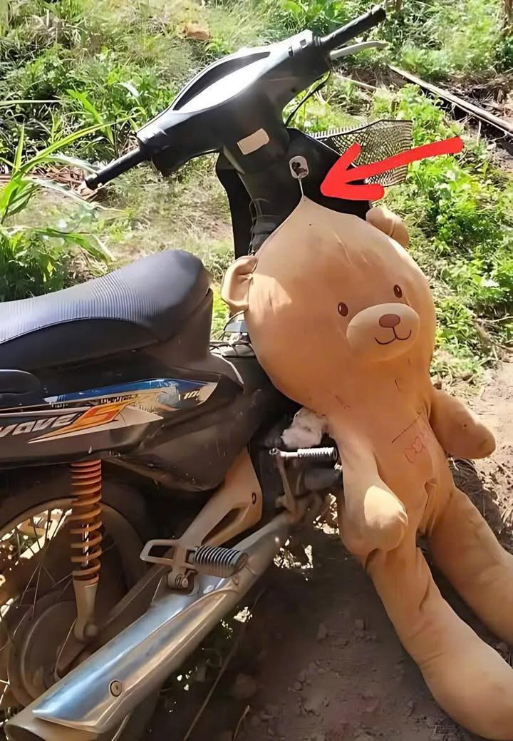 Nhà riêng đường Sông Lu, xã Hòa Phú, 204m² giá 3.25 tỷ - Sổ hồng riêng chính chủ!