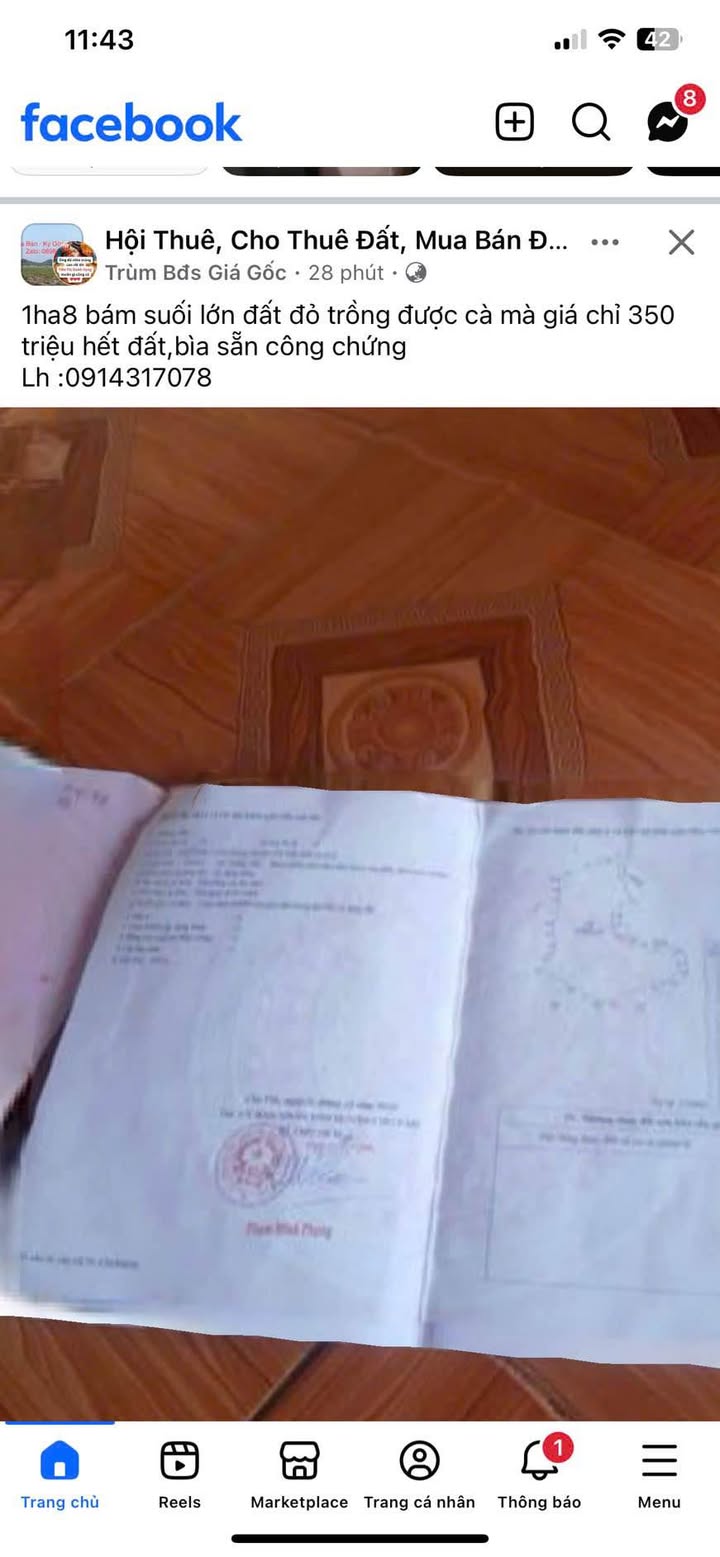 Đất nền 1.7ha tại xã Ia Kreng, Chư Păh, Gia Lai giá chỉ 399 triệu - Cơ hội vàng cho nhà đầu tư!