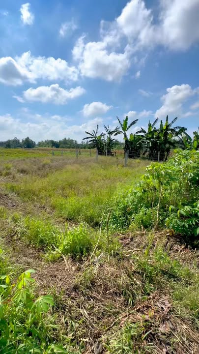 Đất thổ cư Nguyễn Viết Xuân 75m² giá 950 triệu - Cơ hội đầu tư hiếm có!