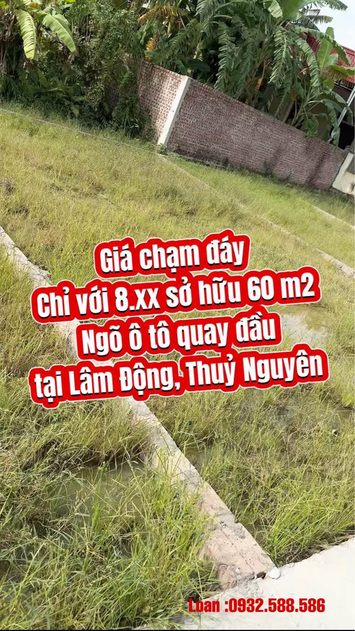 Đất nền Lâm Động, Thủy Nguyên 60m² giá 800 triệu - Cơ hội đầu tư hiếm có!