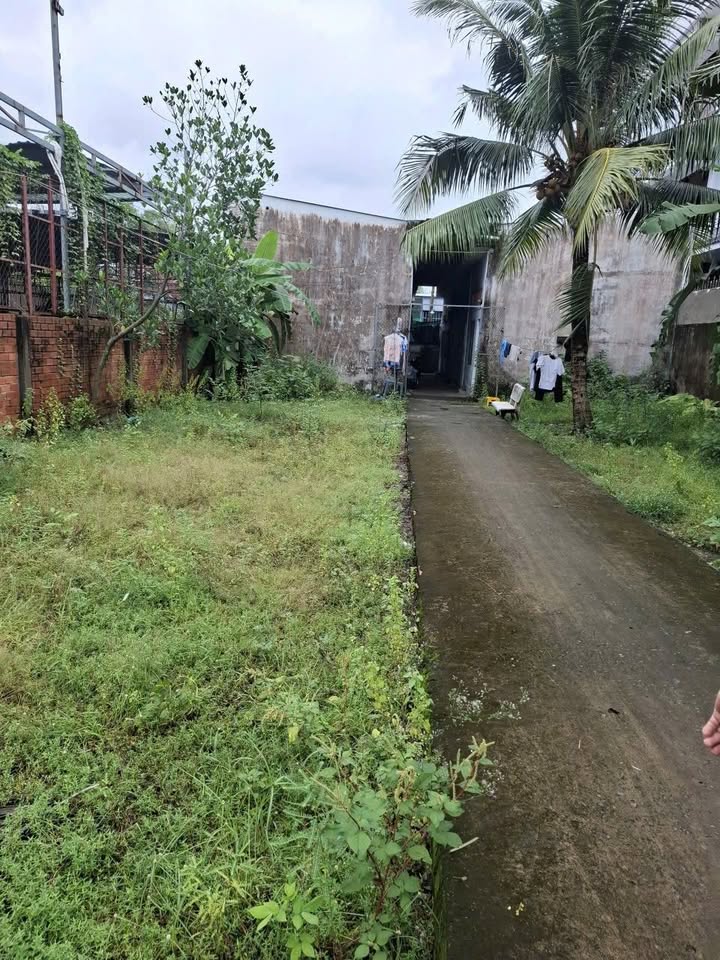 Đất mặt tiền nhựa Long Hưng, Phước Thạnh, Mỹ Tho 539m² giá 3.7 tỷ - Đầu tư sinh lời hiệu quả!