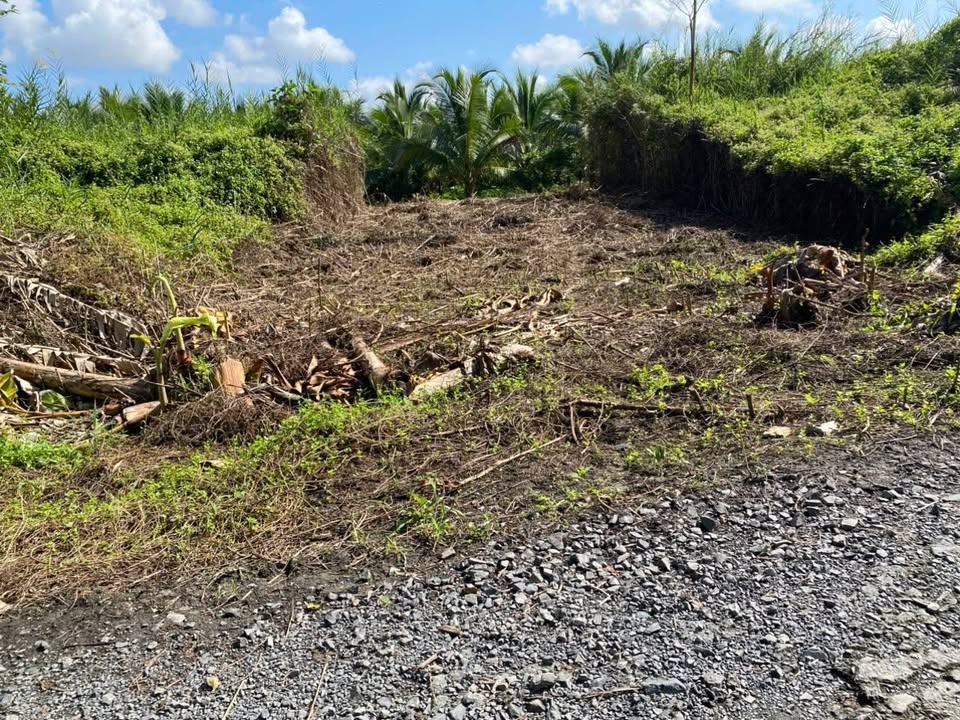 Đất nền thổ cư 145m² giá 390 triệu - Cơ hội đầu tư không thể bỏ qua!