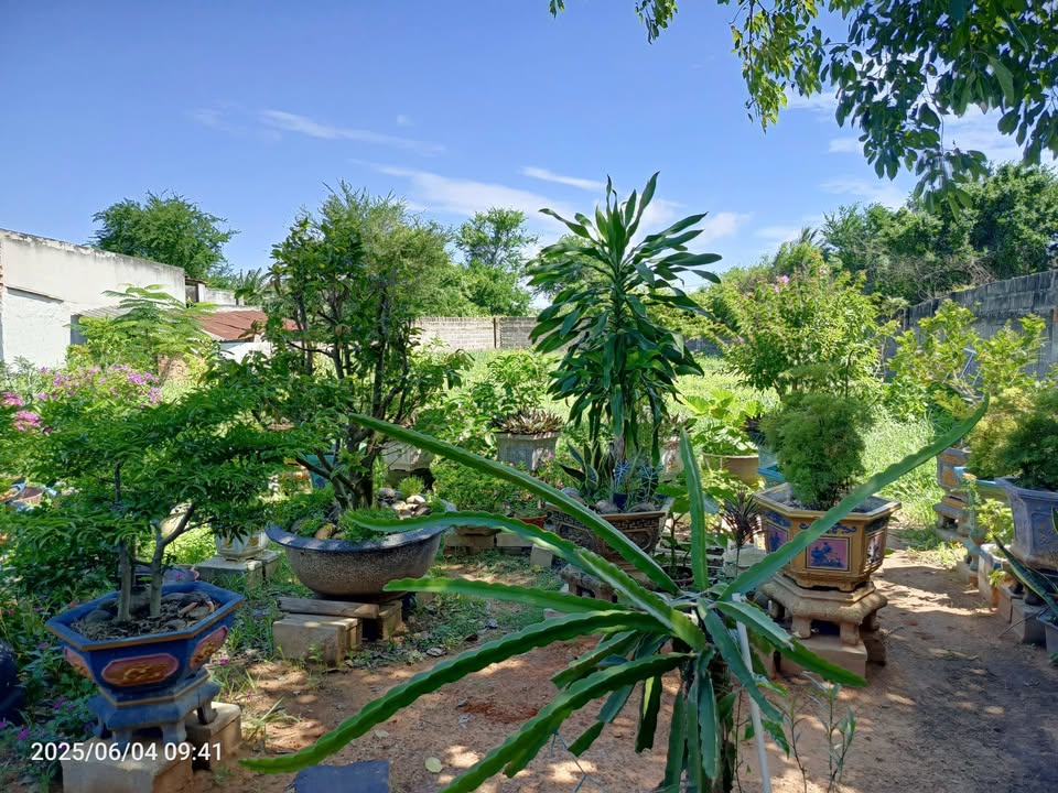 Đất nền Hàm Thắng, Hàm Thuận Bắc 627m² giá 2.6 tỷ - Đường ô tô vào tận nơi!