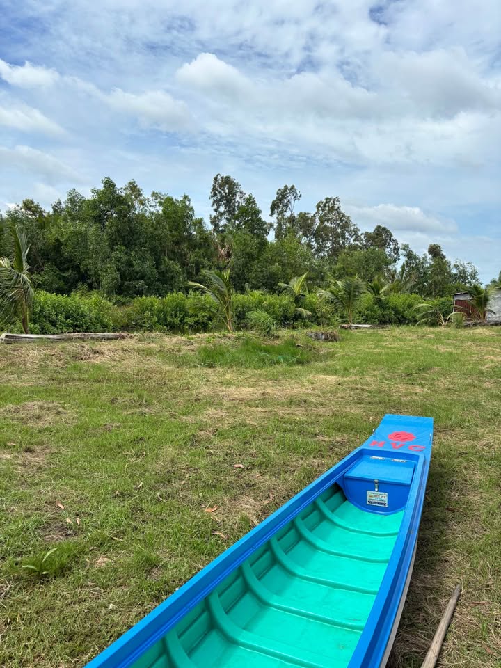 Đất nền 6ha ấp Cây Sộp, xã Hồ Thị Kỉ, huyện Thới Bình - Giá thương lượng hấp dẫn!